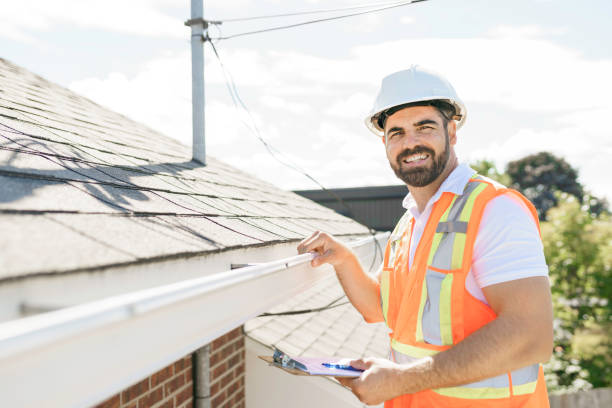 Best Roof Gutter Cleaning  in Nekoosa, WI