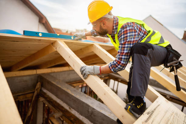Best Roof Leak Repair  in Nekoosa, WI