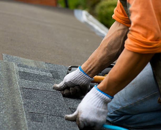 Best Local Roofing Companies  in Nekoosa, WI