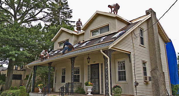 Best Affordable Roofing Company  in Nekoosa, WI