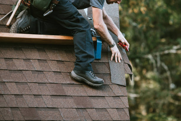 Best New Roof Installation  in Nekoosa, WI